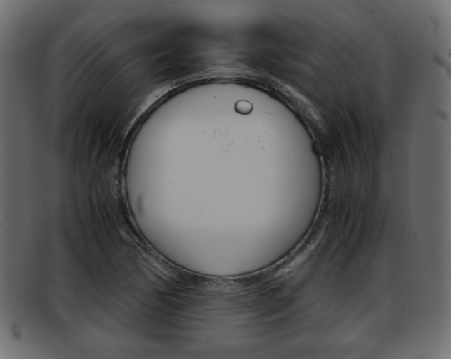 X0000093391170200710111342