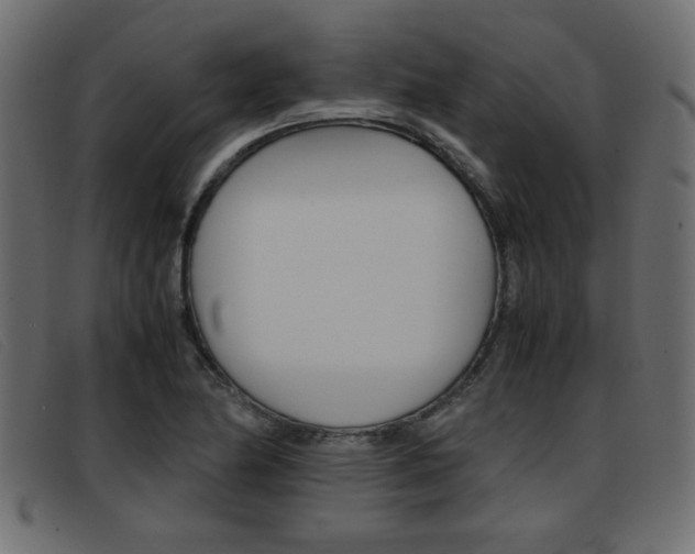 X0000093391174200710111342