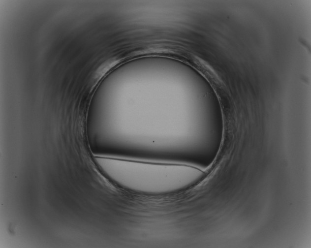 X0000093391177200710111342