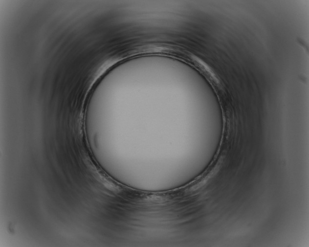 X0000093391178200710111342