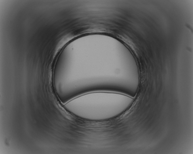 X0000093391179200710111342