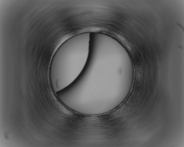 X0000093391186200710111342