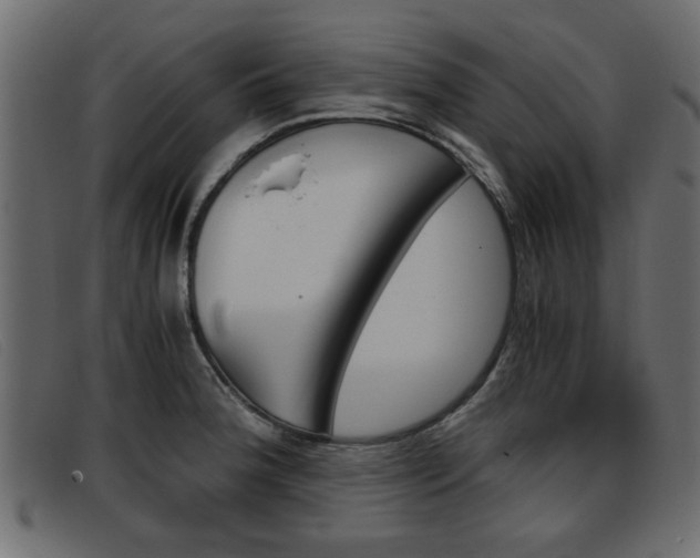 X0000093391188200710111342