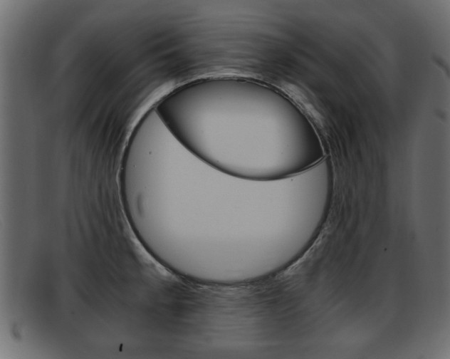 X0000093391189200710111342