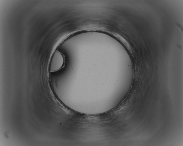 X0000093391191200710111342