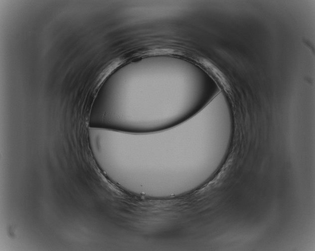 X0000093391193200710111342
