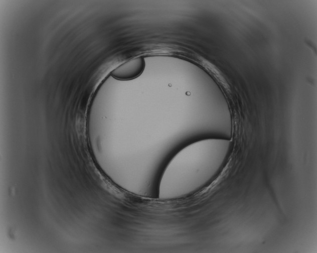 X0000093391194200710111342