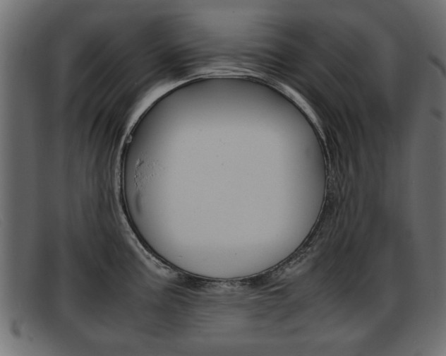 X0000093391195200710111342