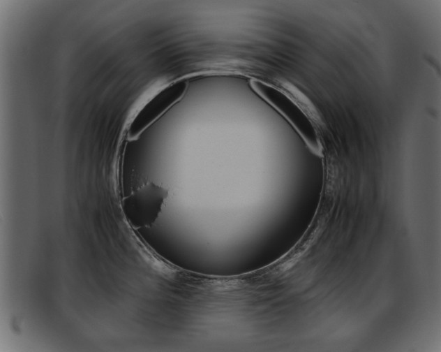 X0000093391196200710111342