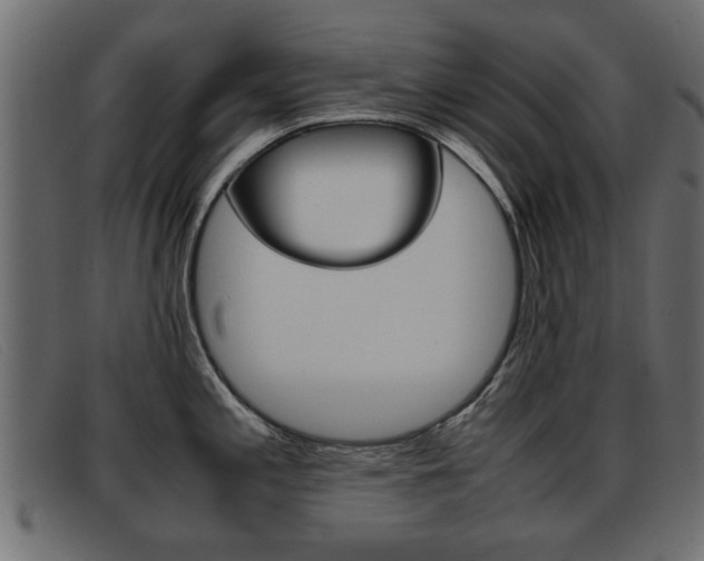 X0000093391197200710111342