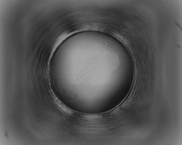 X0000093391200200710111342