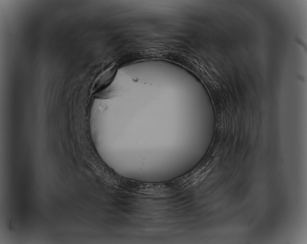 X0000093391201200710111341