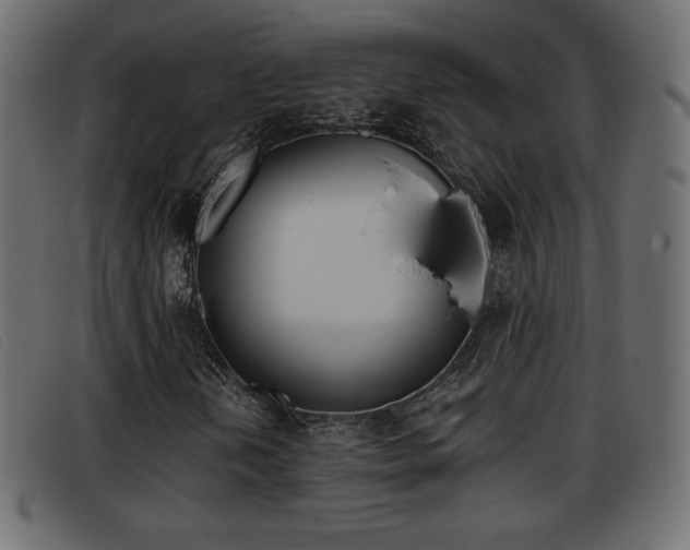 X0000093391202200710111341