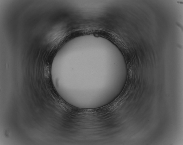 X0000093391204200710111341