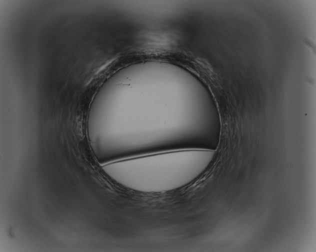 X0000093391205200710111341