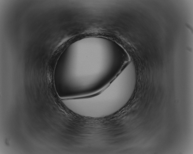X0000093391206200710111341
