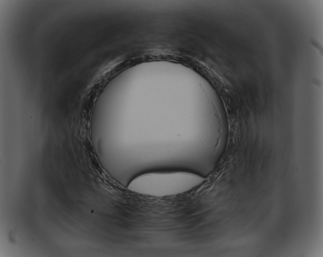 X0000093391207200710111341