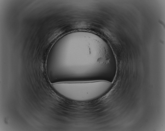 X0000093391209200710111341