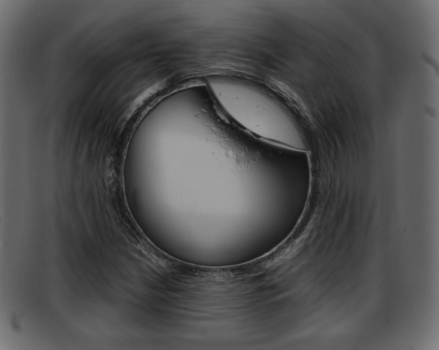 X0000093391210200710111341