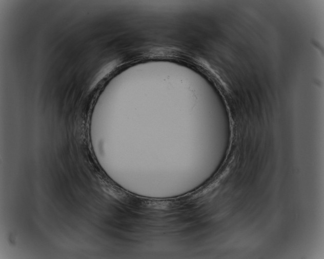 X0000093391211200710111341