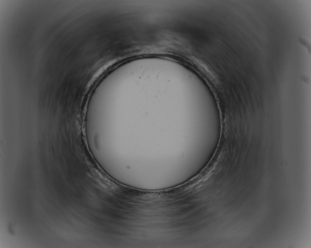 X0000093391212200710111341