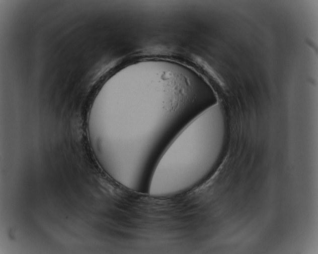 X0000093391213200710111341