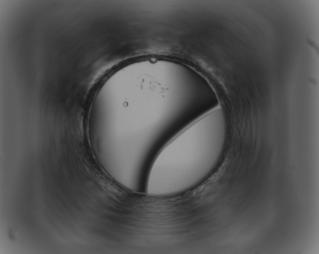 X0000093391214200710111341