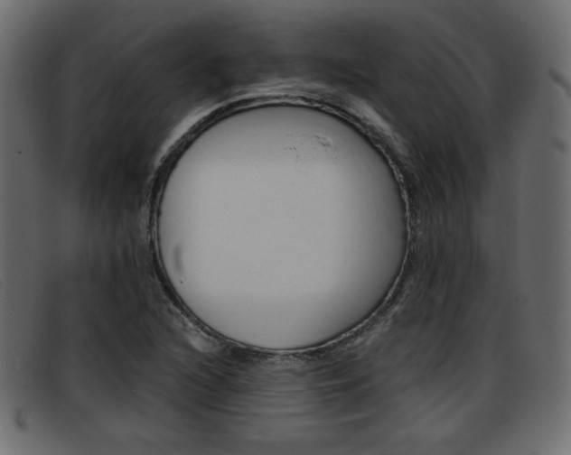 X0000093391216200710111342