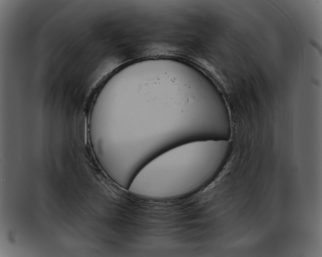 X0000093391219200710111342