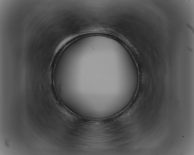 X0000093391222200710111342