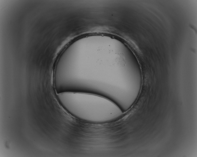 X0000093391224200710111342