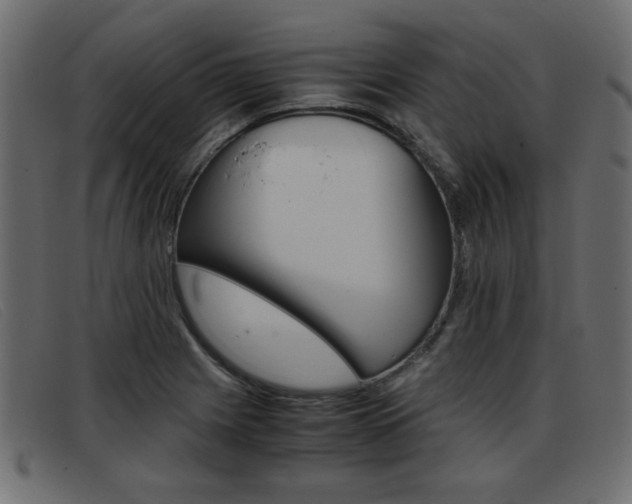 X0000093391225200710111342
