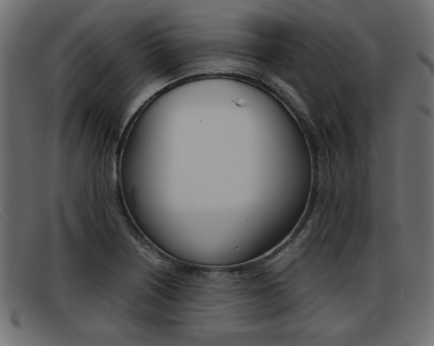 X0000093391226200710111342