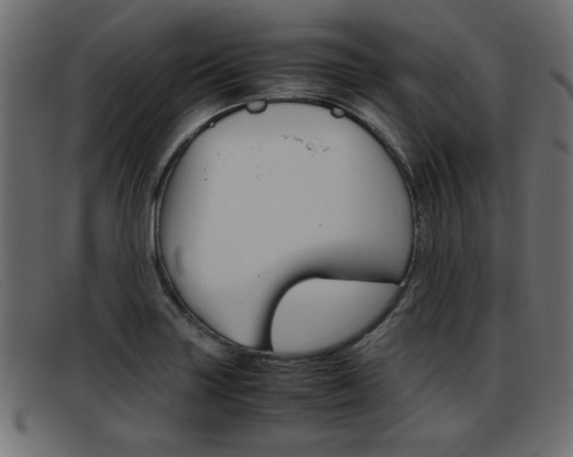 X0000093391227200710111342
