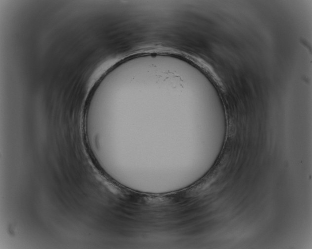 X0000093391231200710111342