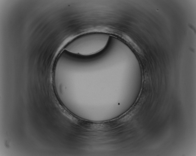 X0000093391232200710111342