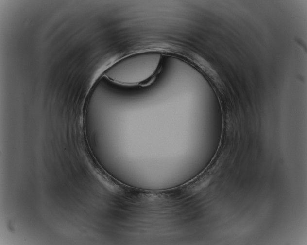 X0000093391234200710111342