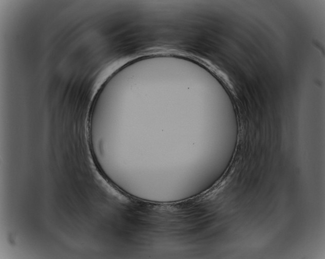 X0000093391239200710111342