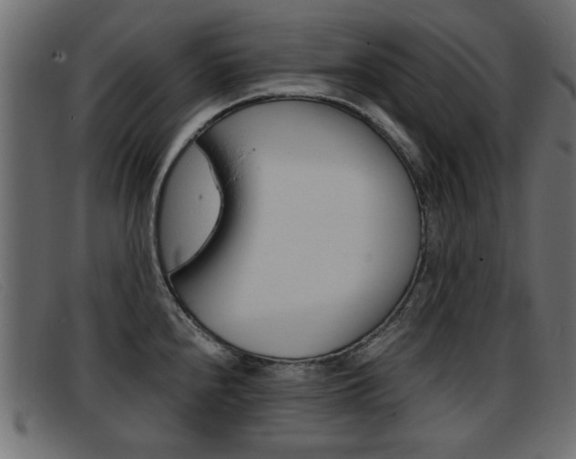 X0000093391240200710111342