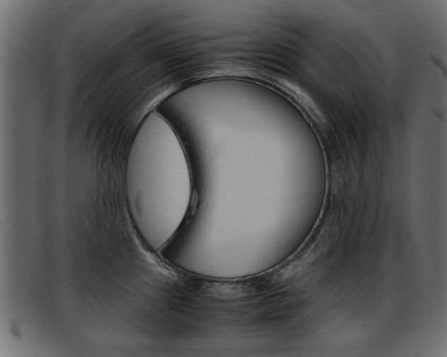 X0000093391241200710111342