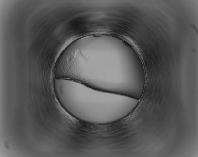 X0000093391243200710111342