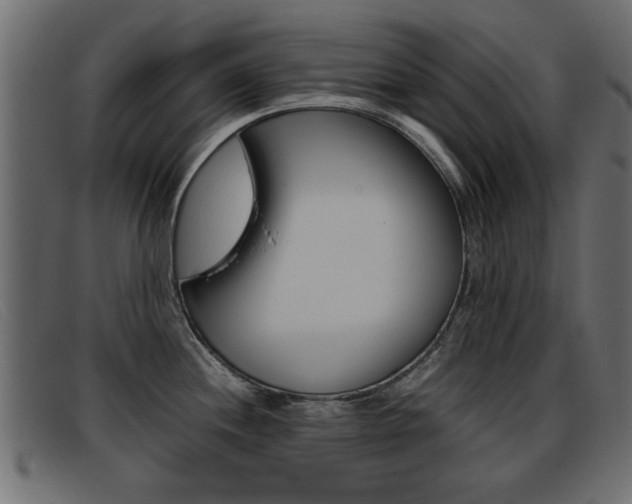 X0000093391244200710111342