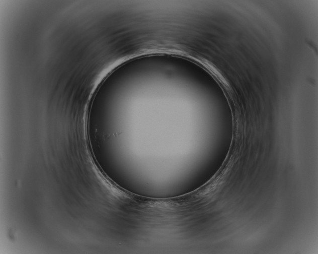 X0000093391246200710111342