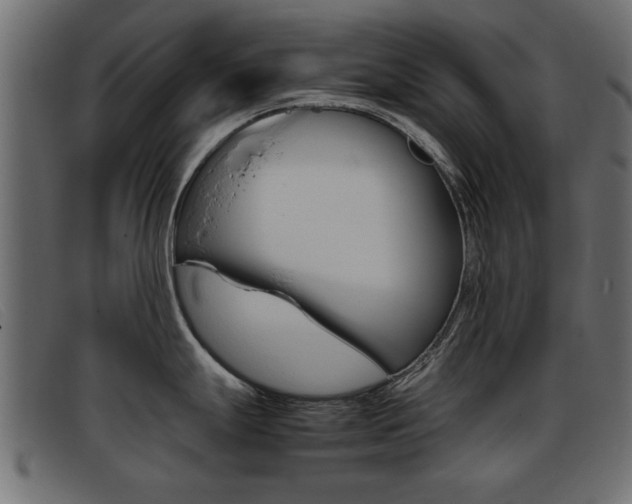 X0000093391247200710111342