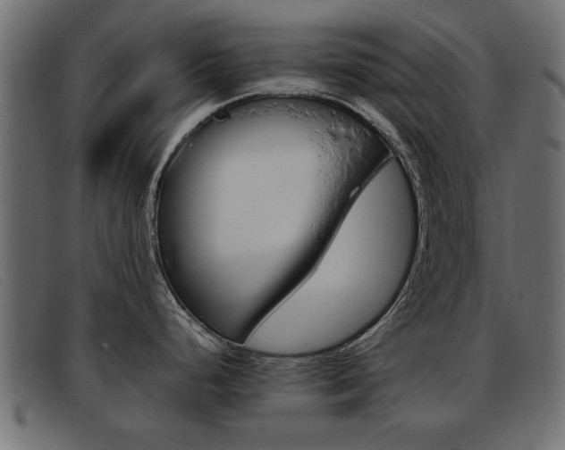 X0000093391248200710111342