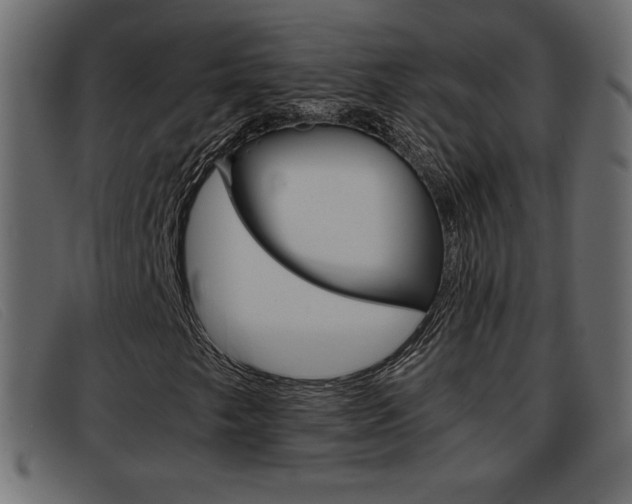 X0000093391249200710111341