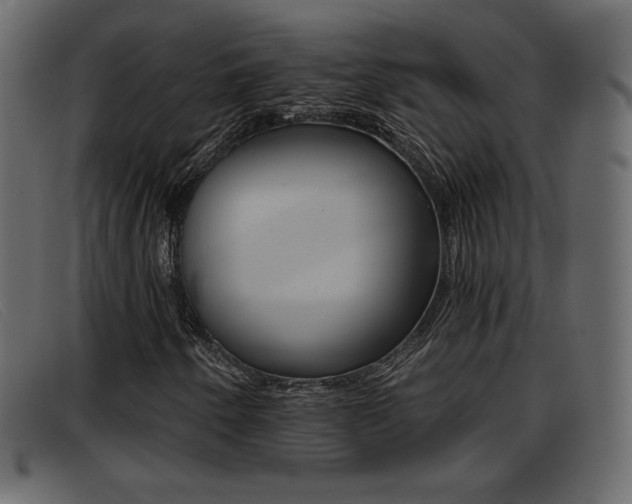 X0000093391250200710111341
