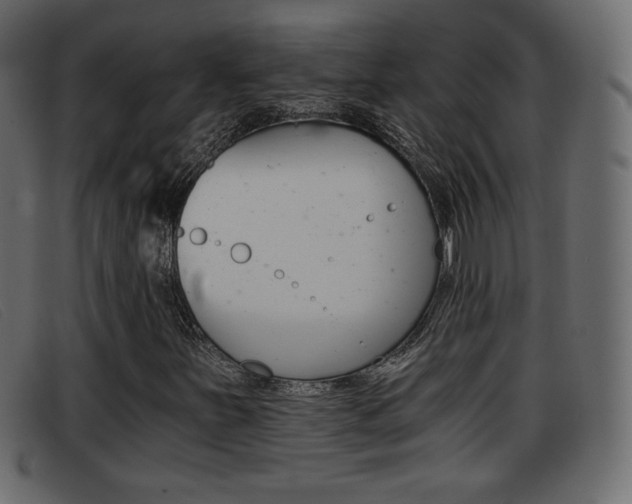 X0000093391251200710111341