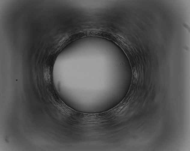 X0000093391252200710111341