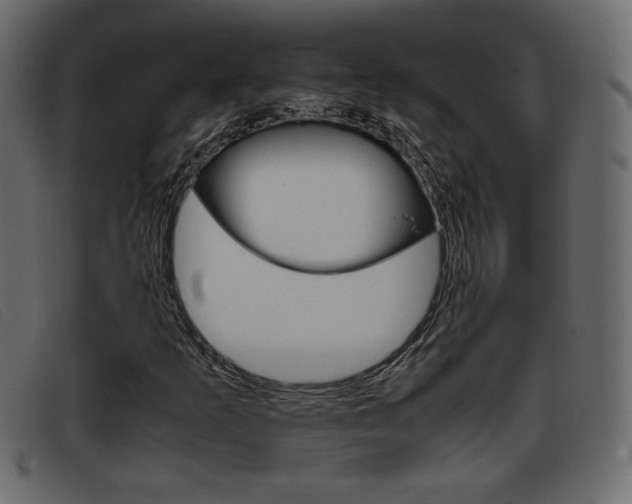 X0000093391253200710111341